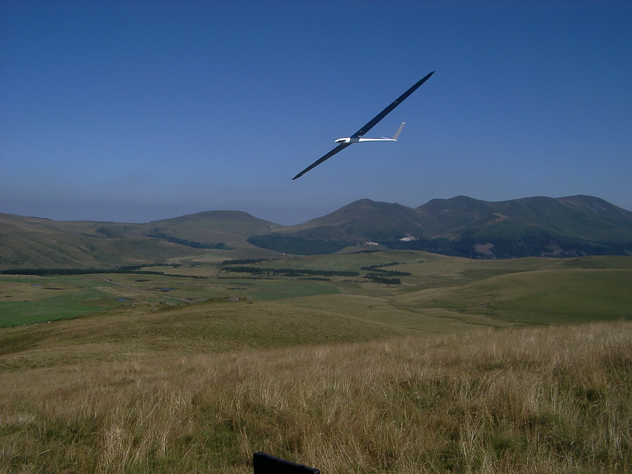 Albatros am Puy Loup
